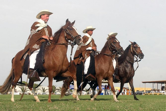 El Gran Show del Caballo Peruano de Paso y la Marinera Norteña